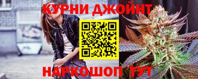 крисы Славгород