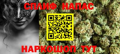крисы Славгород