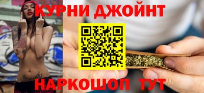 крисы Славгород