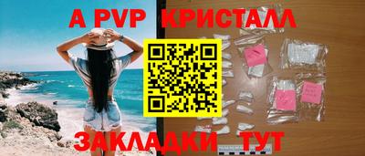 крисы Славгород