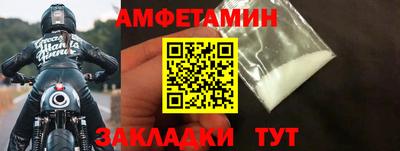 крисы Славгород