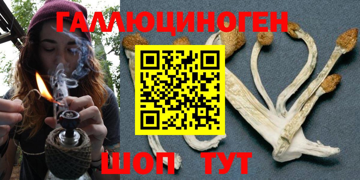 Галлюциногенные грибы Psilocybine cubensis Сергиев Посад