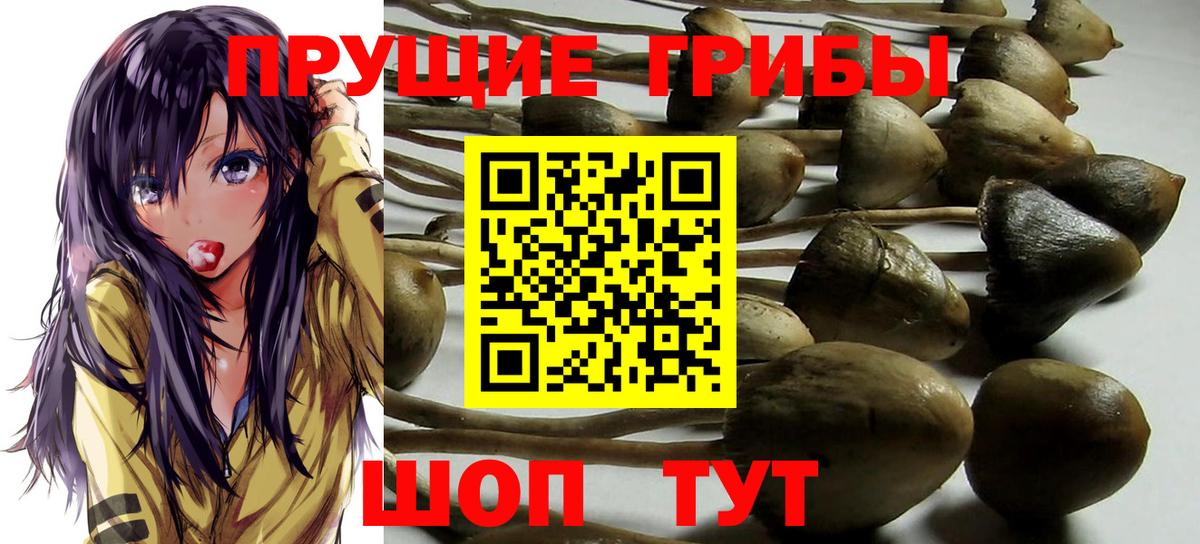 Сергиев Посад  Галлюциногенные грибы ЛСД  Вход с VPN 